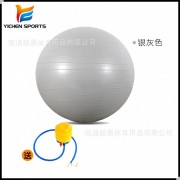 新健身球瑜伽球加厚防爆健身瑜珈球专业75cm球重1200克