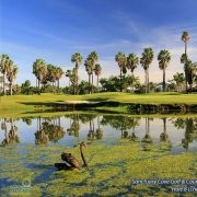 澳洲Sanctuary Cove Resort高尔夫球场