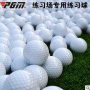 生产厂家 高尔夫球 GOLF高尔夫练习球 双层 空白