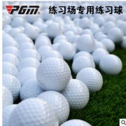 高尔夫球厂家 GOLF练习球 高尔夫双层练习球 空白