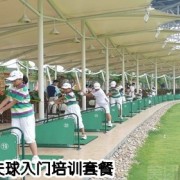 精英白领高尔夫球培训班