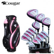 高尔夫球杆 女士套杆 初学全套杆 golf半套练习杆 球具