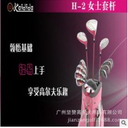厂家批发 KAIDIDA精品女士套杆女用套杆 组合球具 高尔夫球杆