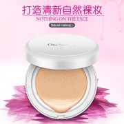 一枝春墨菊雪润无瑕 气垫BB霜 cc霜水润滋养隔离霜bb霜