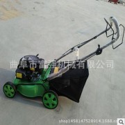 草坪修剪机 自走汽油大马力剪草机 常德市园林割草机械