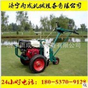 云南大理小型草坪移植机 青海同仁汽油型起草皮机