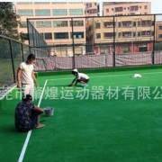 楼顶 阳台 球场 定做 仿真草绿化 人工草坪施工 景观高尔夫