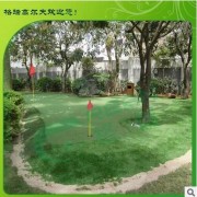 高尔夫室外推杆果岭 PGA嵌沙仿真草人工果岭带坡度小球场上门施工